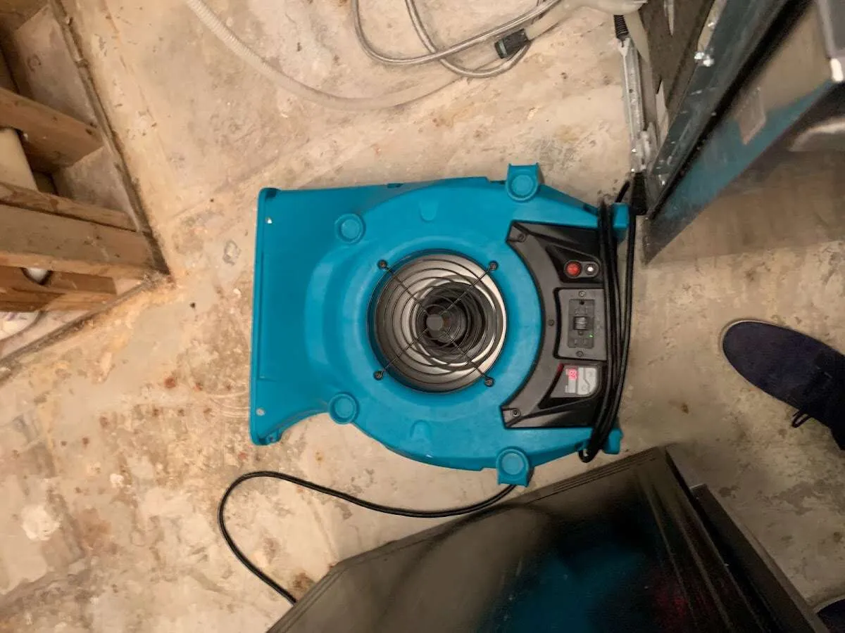 Air mover drying equipment for Mold Remediation & Removal in Hyde Park